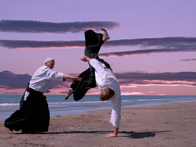 Learn Aikido